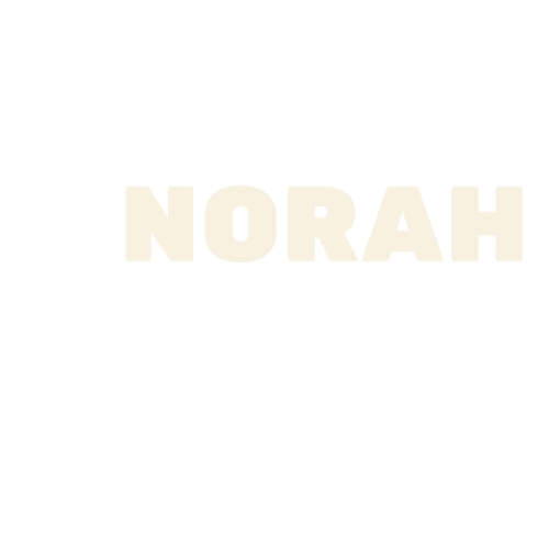 Logo-white-Norah recipes